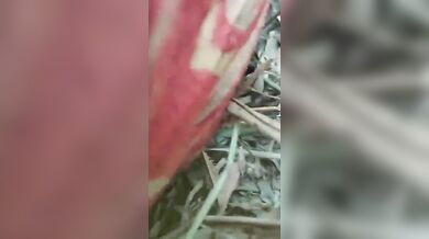 Lukie lukie ak Bihari meye taar Deshi boyfriend er shaathe heavy choda chodir XXX video clip