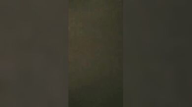 Bhai taar bou er gudh marar aage iktu choto clip record kore