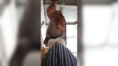 Luccha Deshi dulabhai er matha noshto kore dilo taar shaali