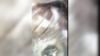 Biyer jonno ready hoar por, bhabhi premik ke iktu tease korlo