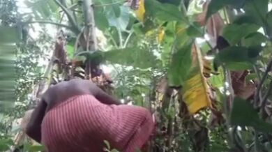 Grammo kaaj er meye ke chodani'r putul er moton bebohar korlo