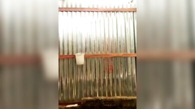 Jamai'r theke attention na peye gelo bhabhi premik er kache