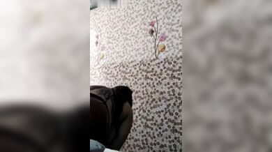 Healthy Bangladeshi apu der o toh bhalo basha dorkar, na ki?