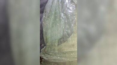 Boudi'r nij apon debor er dhon chushar viral video faash!