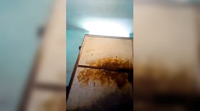 Jamai'r shathe phone a o premik er shaamne langta - MMS clip