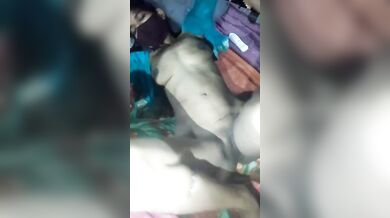 Bou er gudh er daam komiye dilo bibahito shaali'r bheja gudh