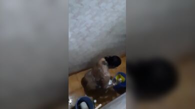 Lukiye film banalo bhagina taar khala'r gosol korar shomoye